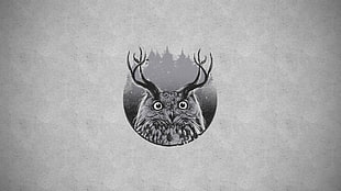 brown owl illustration, owl, horns