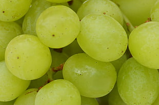 macro photography of green grapes
