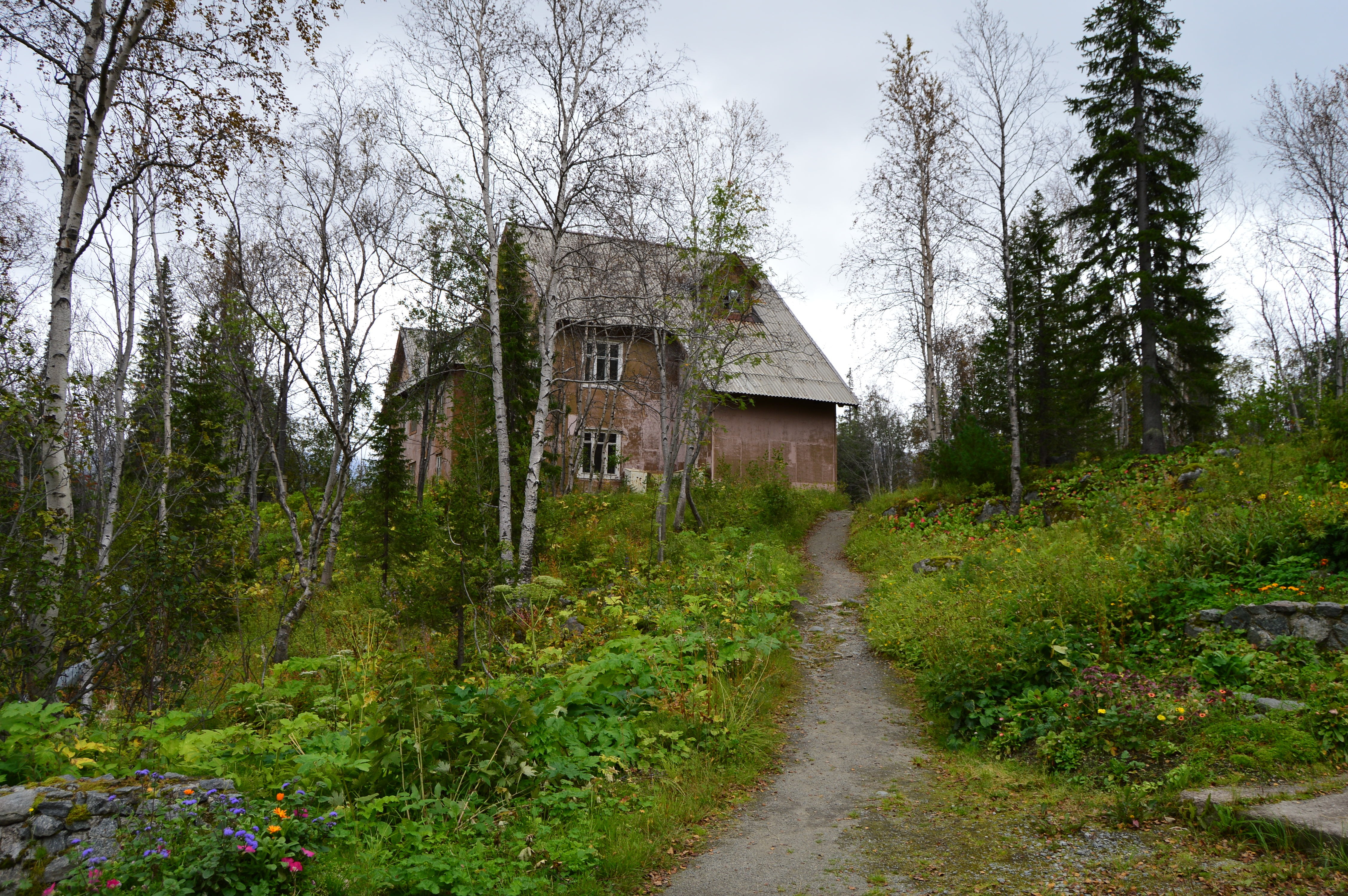 Botanical garden,  Forest,  Trees,  House