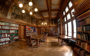 photography of library