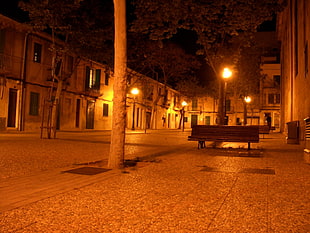 photo of empty streets with bench near the post lamp