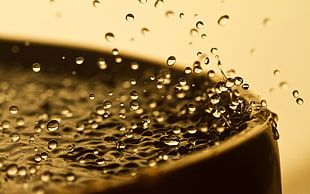 selective focus photography of water drops