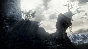 withered tree wallpaper, Dark Souls III, video games, screen shot, Dark Souls