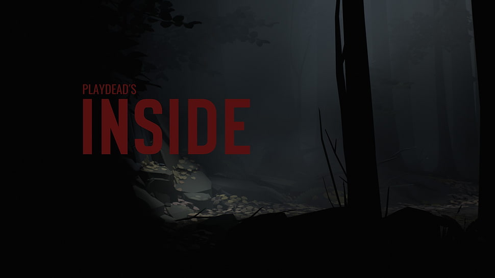 Inside, typography, vector HD wallpaper