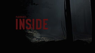Inside, typography, vector