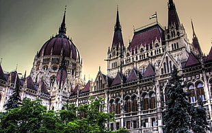 white and brown Gothic cathedral, Hungary, Budapest, Hungarian Parliament Building, architecture