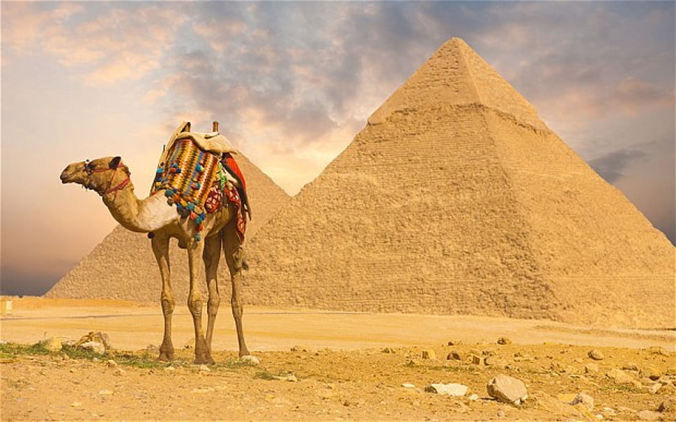 Great Pyramid of Giza, Egypt HD wallpaper | Wallpaper Flare