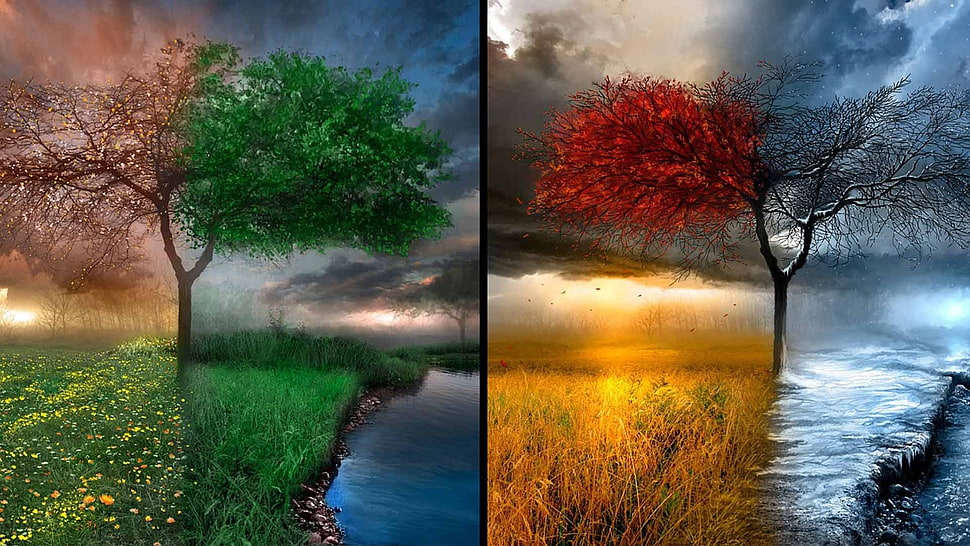 two red and green leafed tree collage, seasons, digital art, nature, drawing HD wallpaper