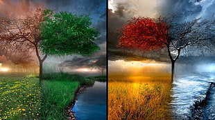 two red and green leafed tree collage, seasons, digital art, nature, drawing