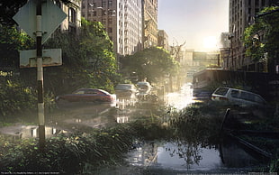 landscape photo of cars sinking on flood in the city
