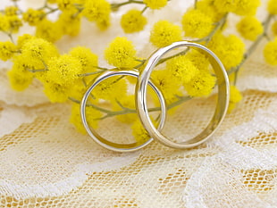 closeup photo of silver-colored wedding bands