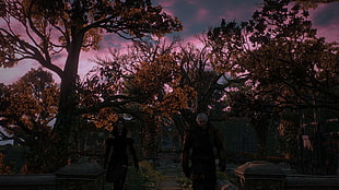 The Witcher 3: Wild Hunt, Geralt of Rivia, Yennefer of Vengerberg, garden HD wallpaper