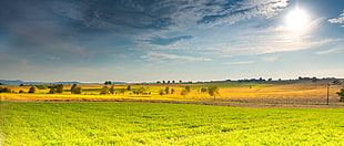 photo of green field