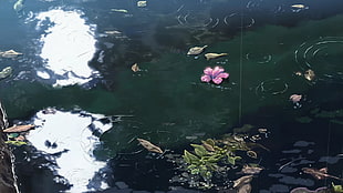 pink petaled flower, rain, The Garden of Words, Makoto Shinkai , water HD wallpaper