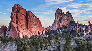 rock formations surrounded by trees during daytime, mountains, forest, garden of the gods, colorado springs
