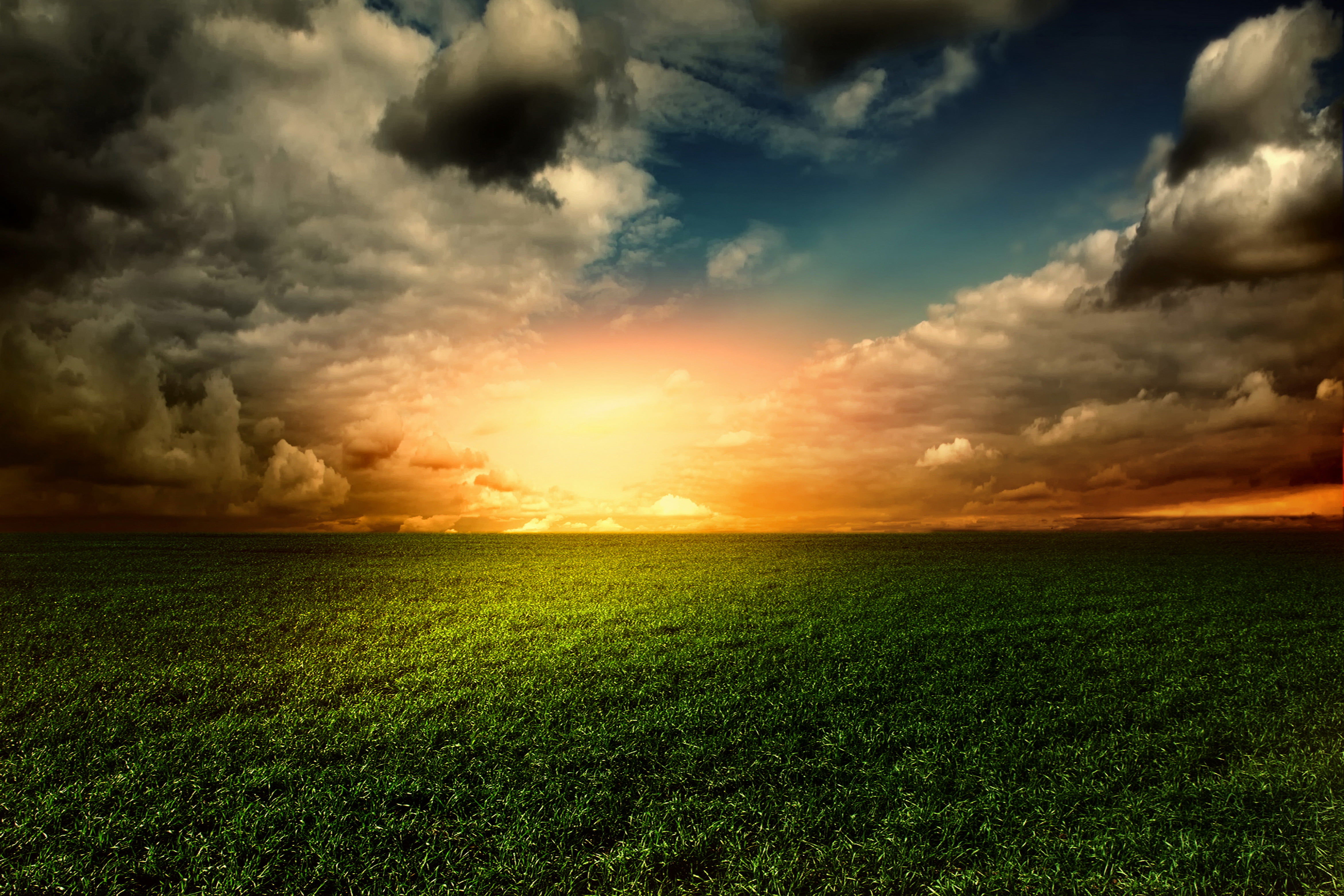 Green grass field during sunset HD wallpaper | Wallpaper Flare