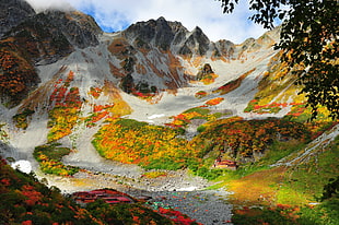 landscape portrait of mountain
