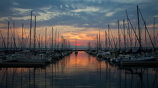 white and black boat, boat, harbor, sunset