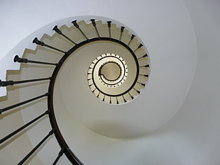 worms eyeview photography of spiral stairs