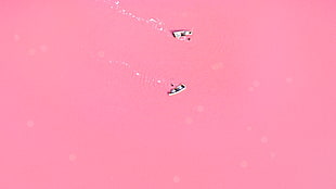pink, lagoon, love