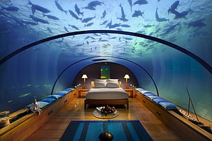aquarium bedroom HD wallpaper