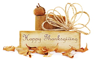 Happy Thanksgiving wood engraved decor with leaves and rope HD wallpaper