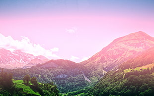 green tress, landscape, mountains HD wallpaper