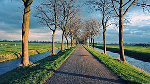 straight pathway near lake and bare trees under cloudy sky at daytime