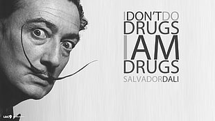 Don't do Drugs I am Drugs book by Salvador Dali, Salvador Dalí, painting, fantasy art, skull HD wallpaper
