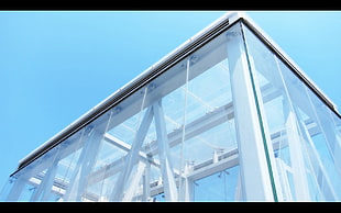 low angle photography of glass building, building