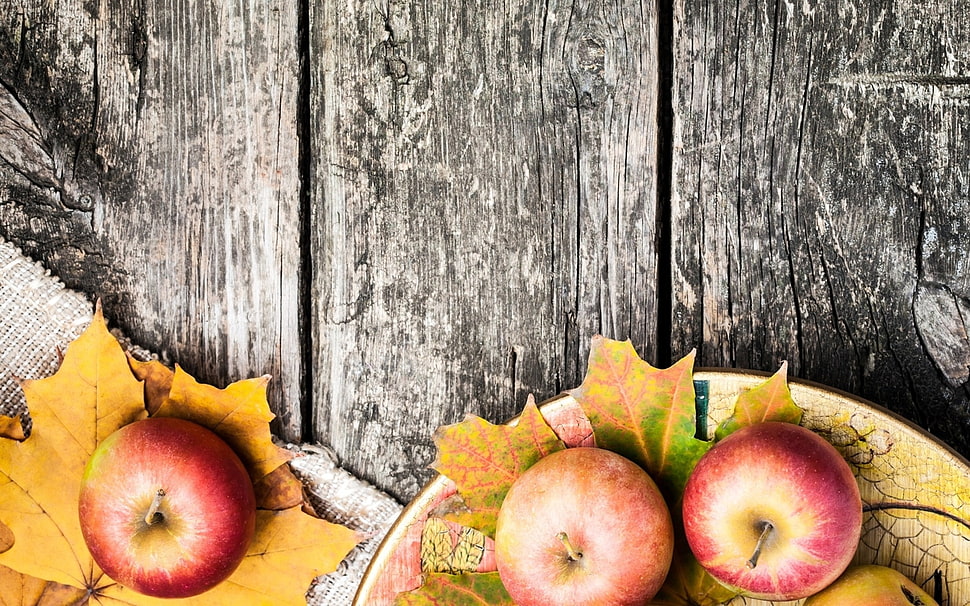 three red apple fruits on maple leaf HD wallpaper
