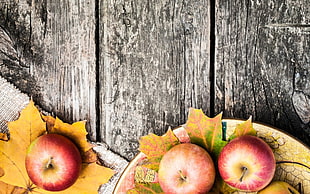 three red apple fruits on maple leaf