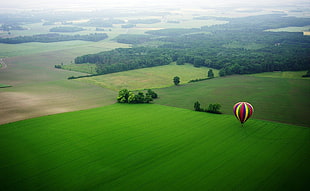 red, white, and blue hot air balloon, field, trees, landscape, hot air balloons HD wallpaper