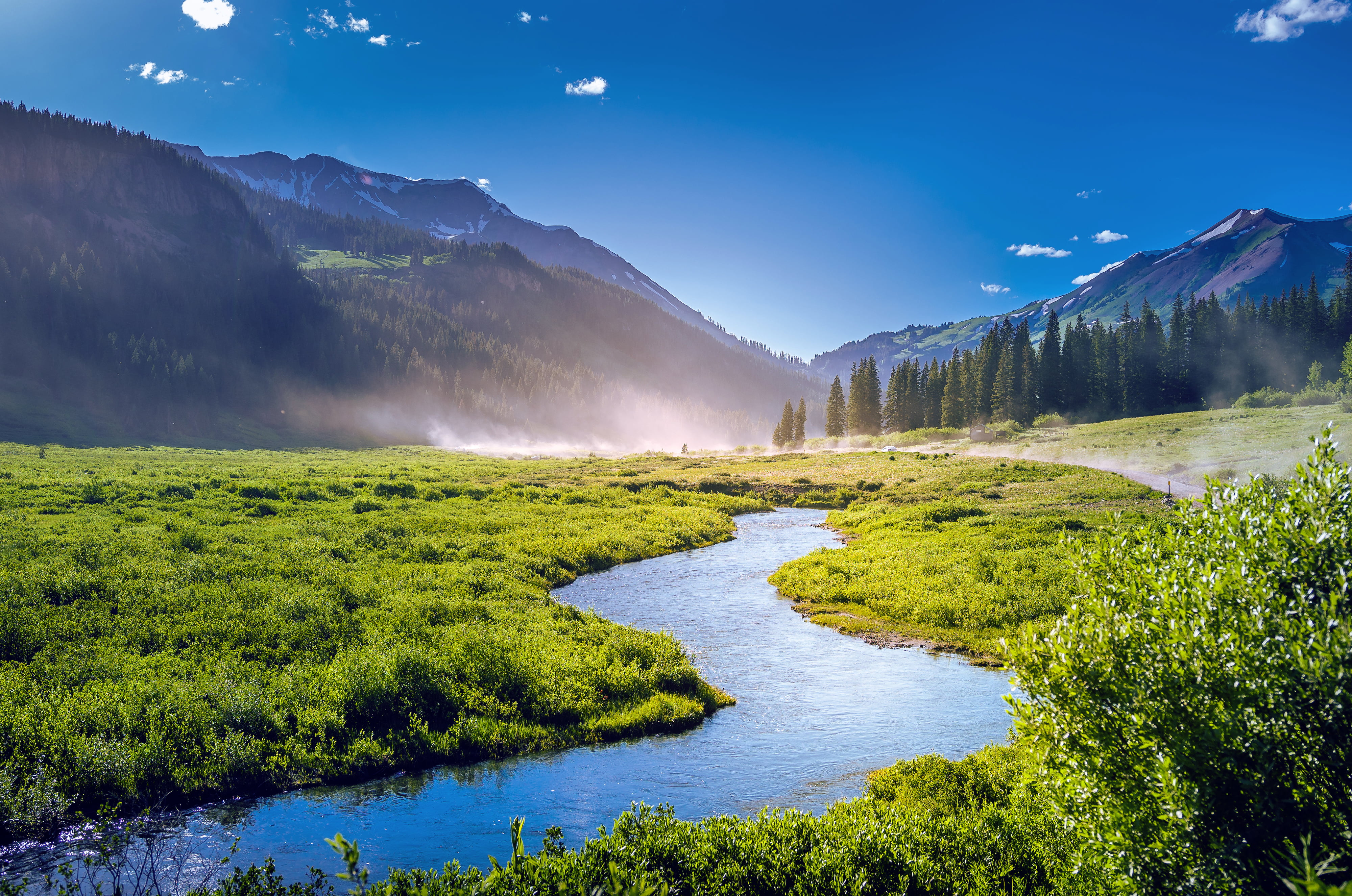 green pine trees, Landscape, Mountains, Green