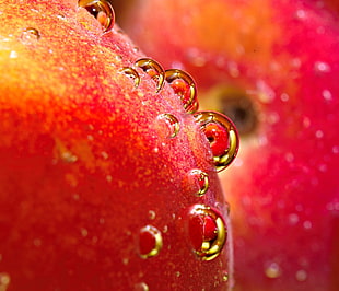 close up photo of apple fruit HD wallpaper