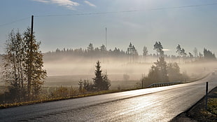 Road,  Asphalt,  Fog,  Morning HD wallpaper