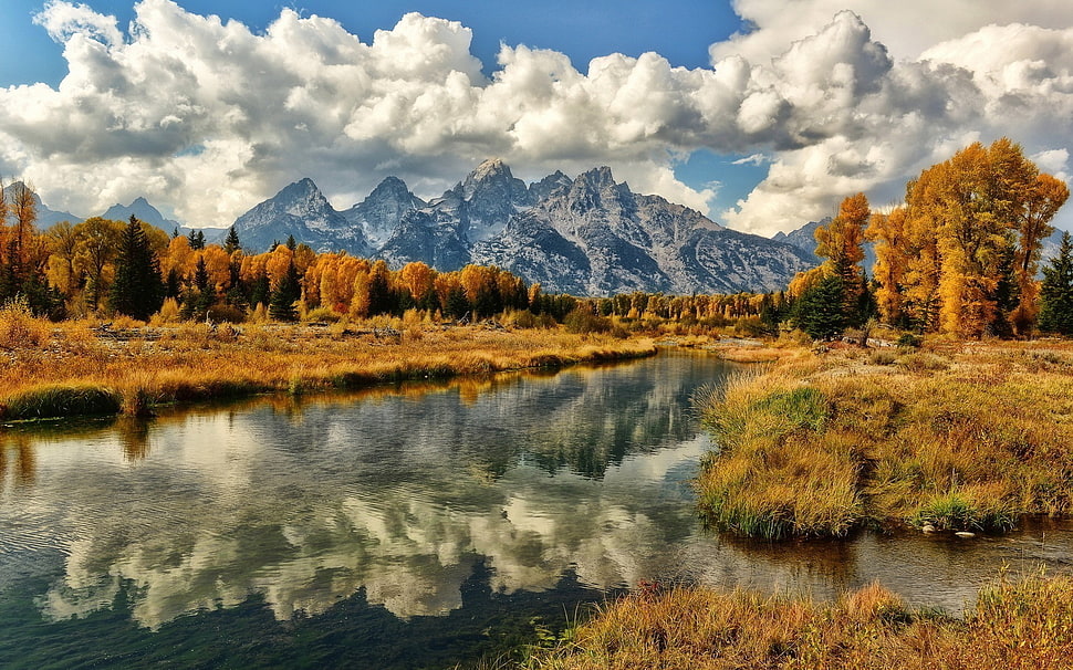 brown leafed tree near water, landscape, mountains, lake, reflection HD wallpaper