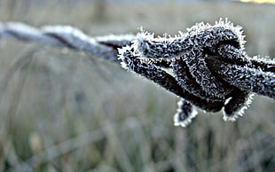snow covered barbed wire in tilt shift lens photography