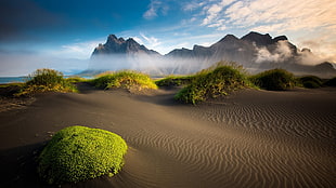 brown sand and grass field with mountain background