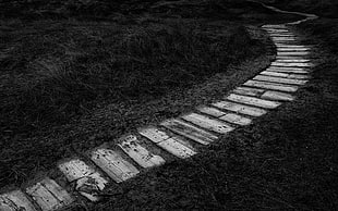 grayscale photo of path trail HD wallpaper