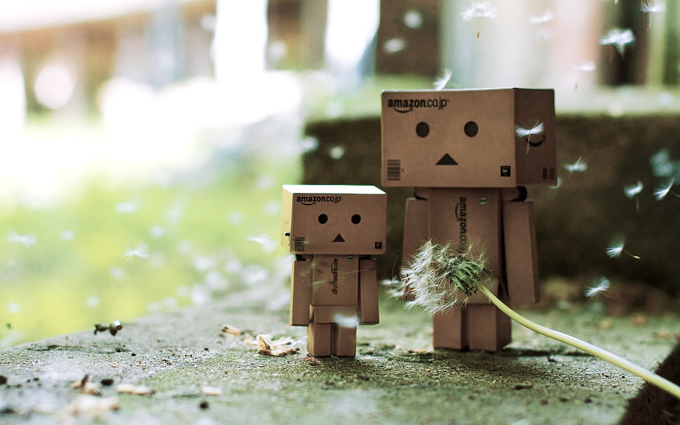 two box amazon figure with Dandelion flower during daytime HD wallpaper