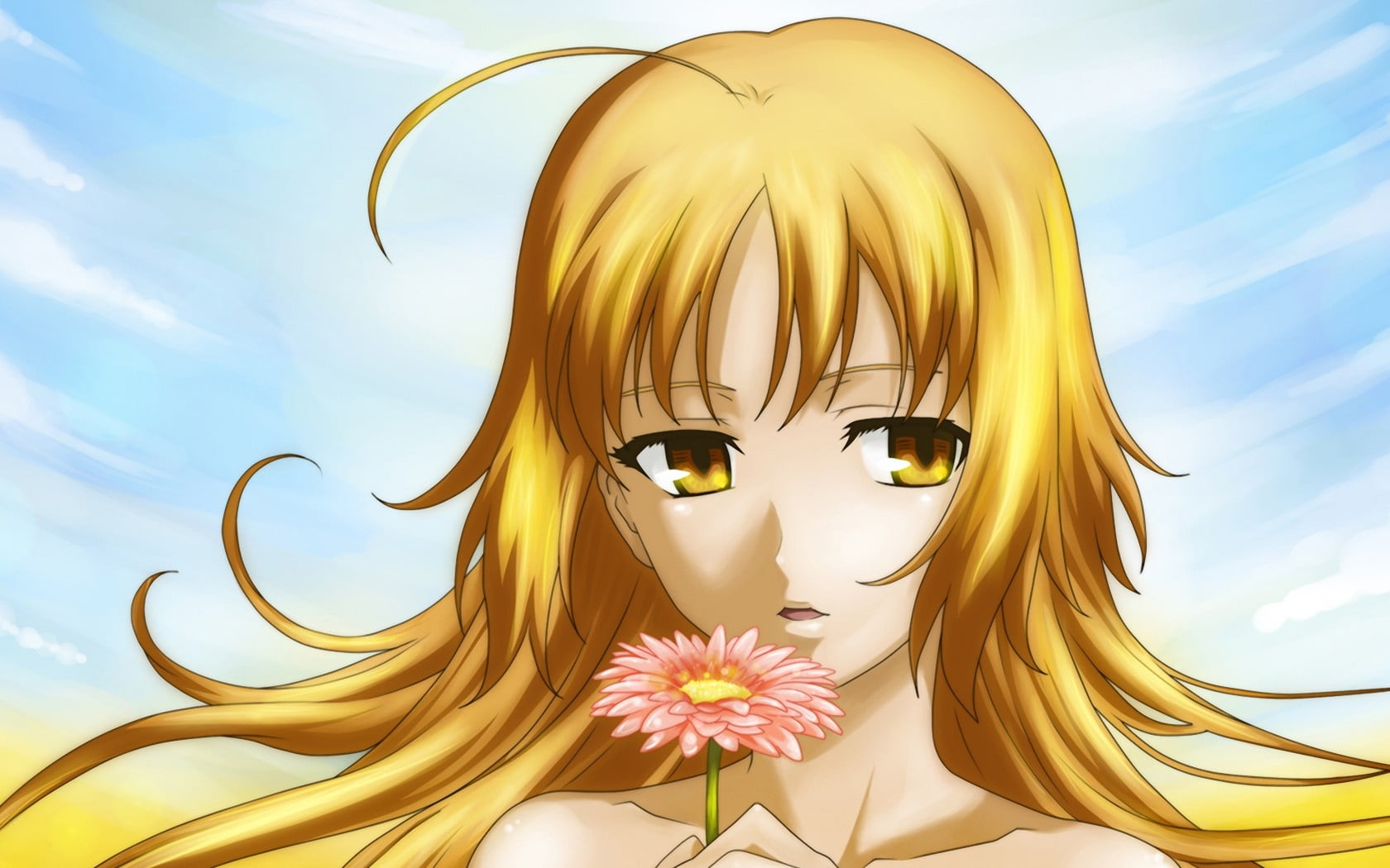Yellow eyed and yellow haired female anime character holding flower HD ...