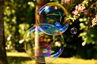 panoramic photo of three bubbles