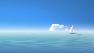 white sailboat, sea, boat, seagulls