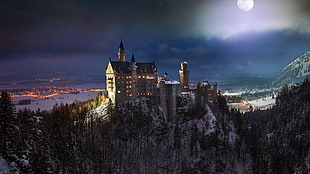 white and black castle painting, Neuschwanstein Castle, castle, Germany, night