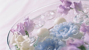 blue and purple petaled flowers on bowl filled with water