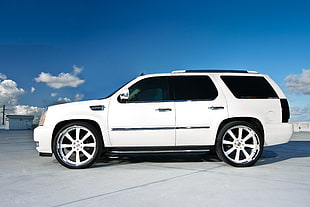 white-metallic SUV