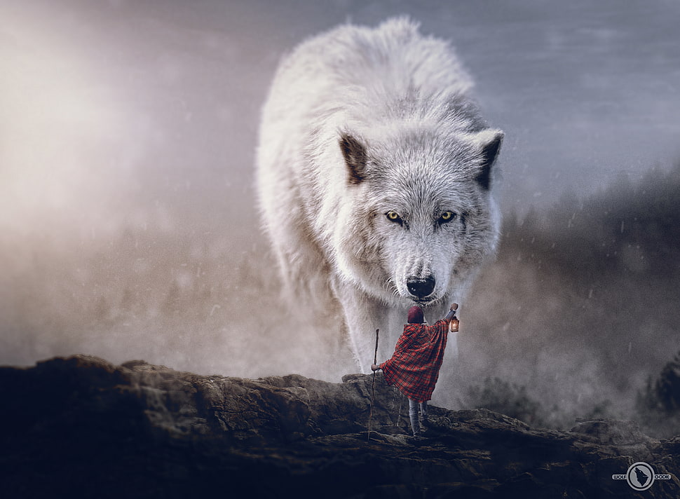 wolf wallpaper, wolf, digital art, sciencie fiction adventures, polar wolf HD wallpaper