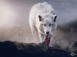 wolf wallpaper, wolf, digital art, sciencie fiction adventures, polar wolf