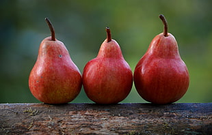 three red pears HD wallpaper